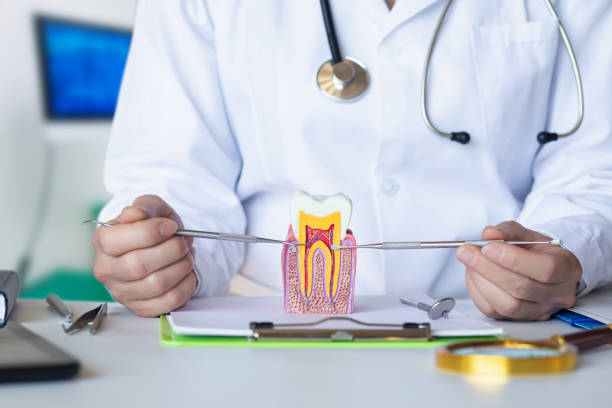 Best Emergency Treatment for Dental Infections or Abscesses in East Palo Alto, CA